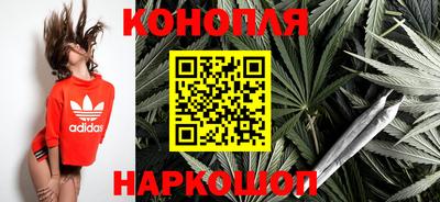 шишки Будённовск