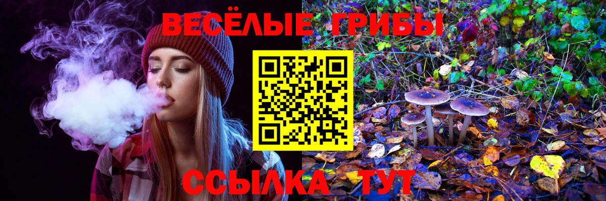 Галлюциногенные грибы ЛСД Барнаул