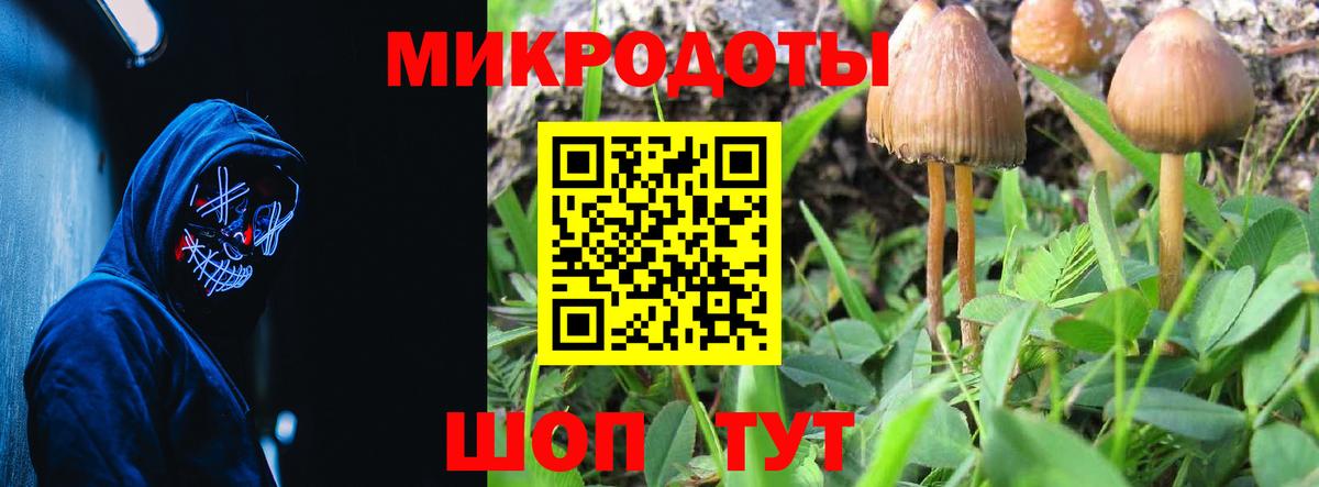 Псилоцибиновые грибы прущие грибы  Псилоцибиновые грибы GOLDEN TEACHER  закладки  Вход с VPN  Барнаул 